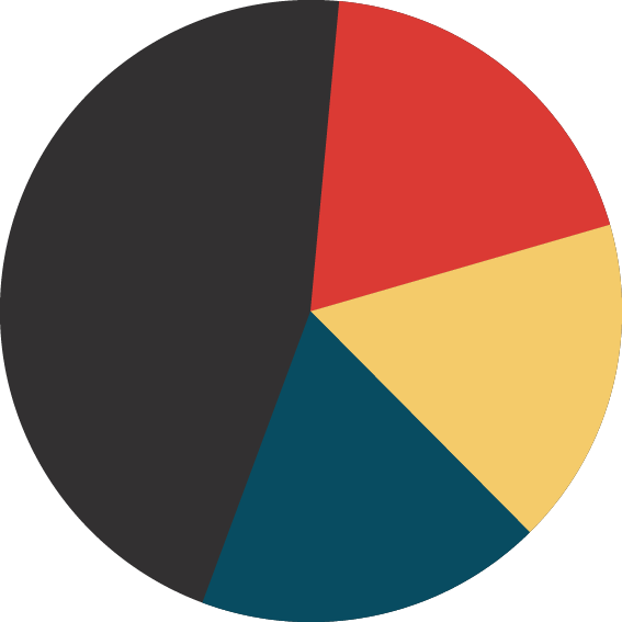 pie-chart